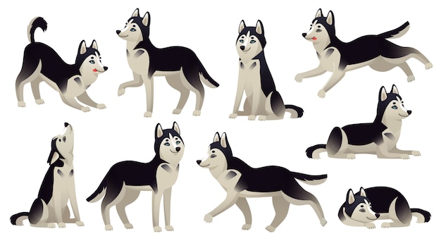 ハスキー犬のポーズ 走っている犬 座っている犬 ジャンプする漫画 アクティブなハスキー動物キャラクター分離セット プレミアムベクター