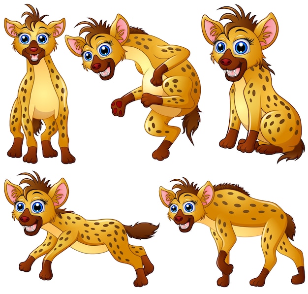 Laughing Hyena Vectors, Photos and PSD files Free Download