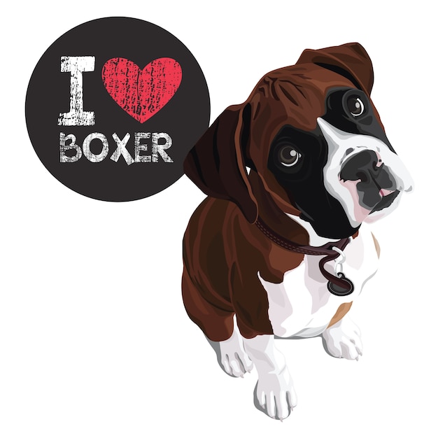 Premium Vector I Love Boxer