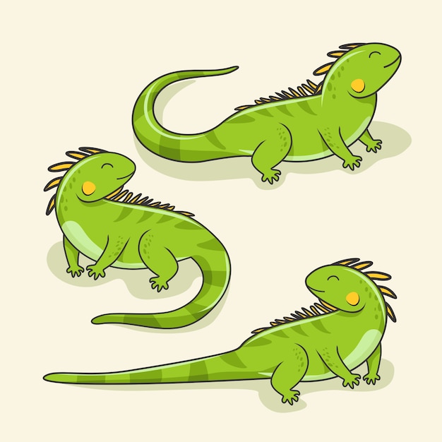 イグアナ漫画かわいいトカゲ動物爬虫類セット プレミアムベクター