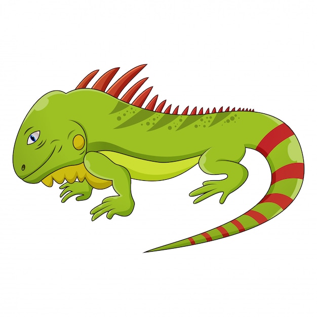 Premium Vector Iguana Cartoon,Educational Websites For Teachers