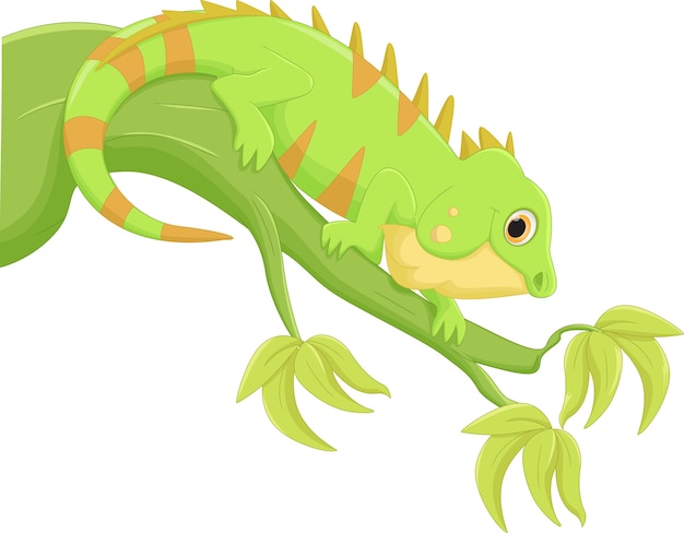 Premium Vector Iguana Cartoon