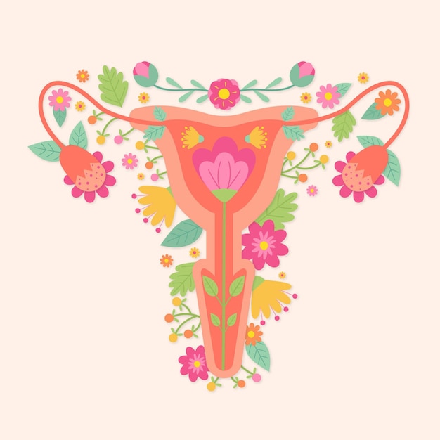 Free Vector Illustrated Female Reproductive System With Flowers 1401