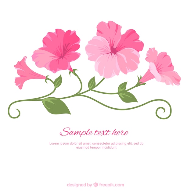 Premium Vector | Illustrated pink flowers