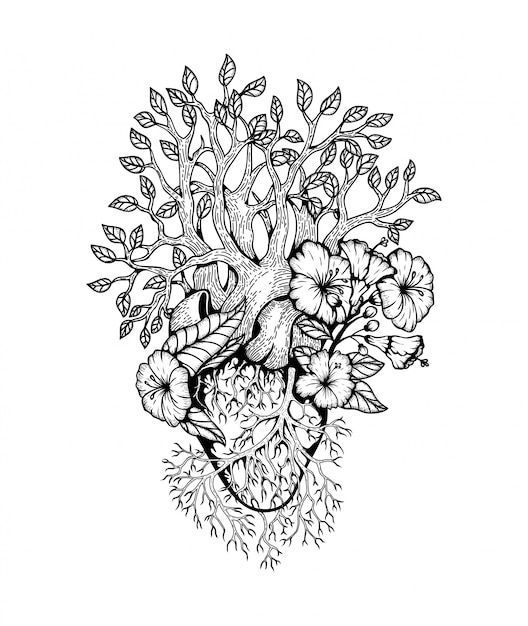 Download Illustration anatomical heart with flower Vector | Premium ...