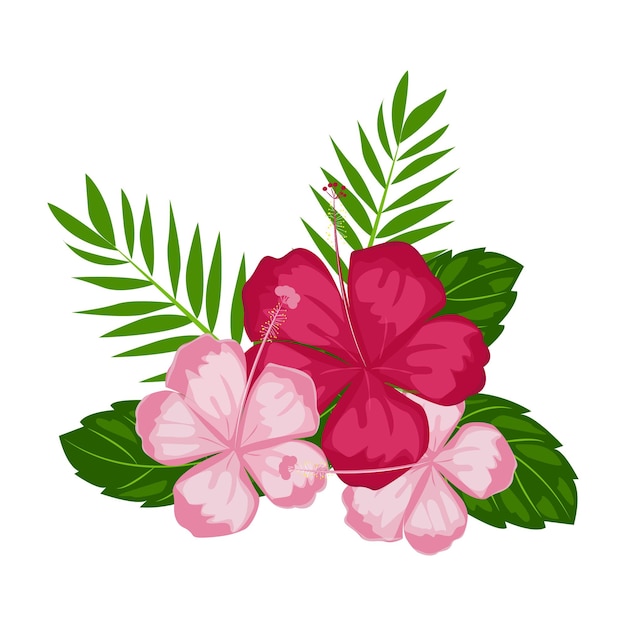 美しいピンクのハイビスカスの花と熱帯の葉のイラスト プレミアムベクター