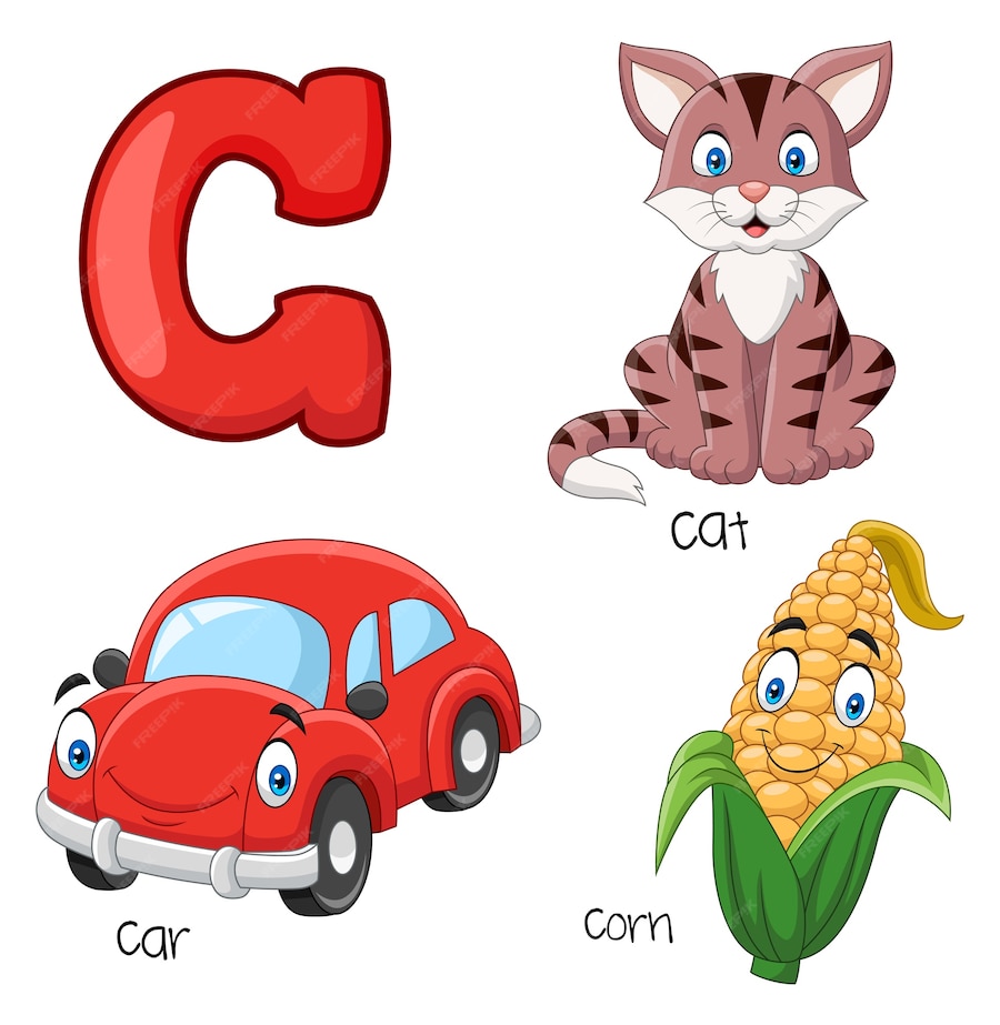 Premium Vector | Illustration of c alphabet