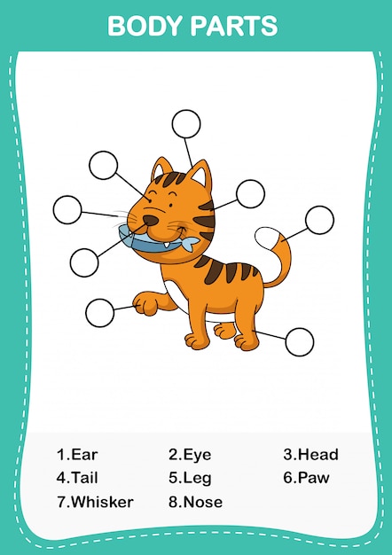 Illustration of cat vocabulary part of body, write the correct numbers ...