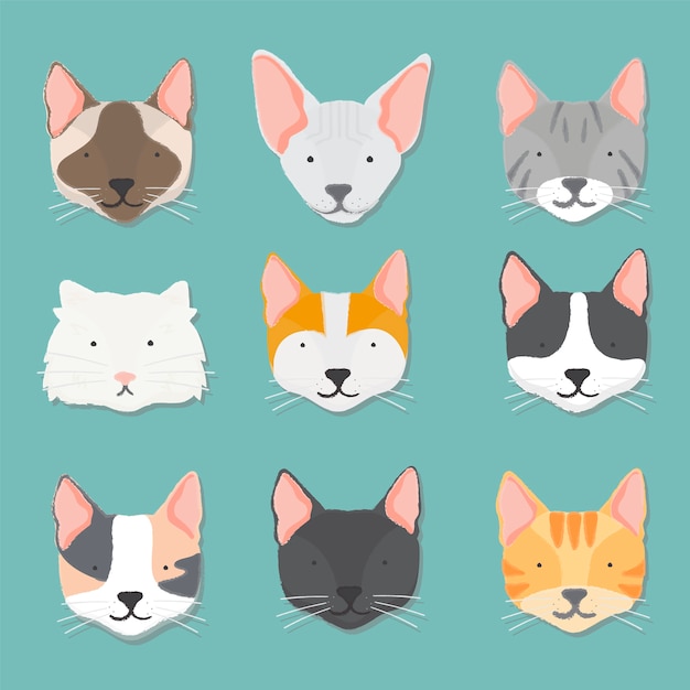 Free Vector | Illustration of cats collection