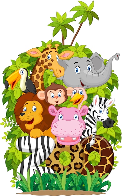 Download Illustration collection of zoo animals on white background | Premium Vector