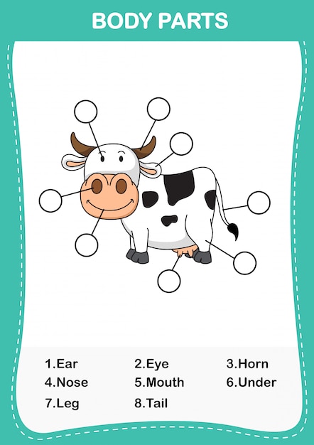 Illustration of cow vocabulary part of body, write the correct numbers ...