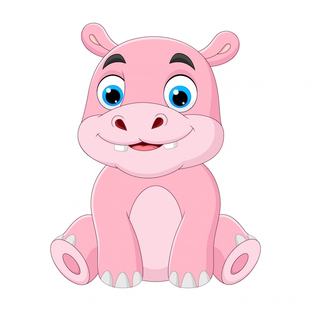 Download Illustration cute baby hippo cartoon sitting on white ...