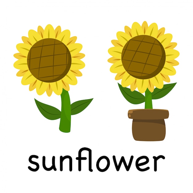 Download Free Illustration Cute Cartoon Sunflower Isolated On White Background Use our free logo maker to create a logo and build your brand. Put your logo on business cards, promotional products, or your website for brand visibility.