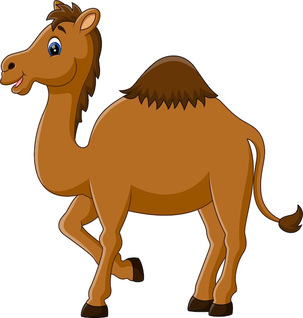 Premium Vector Illustration of cute funny camel