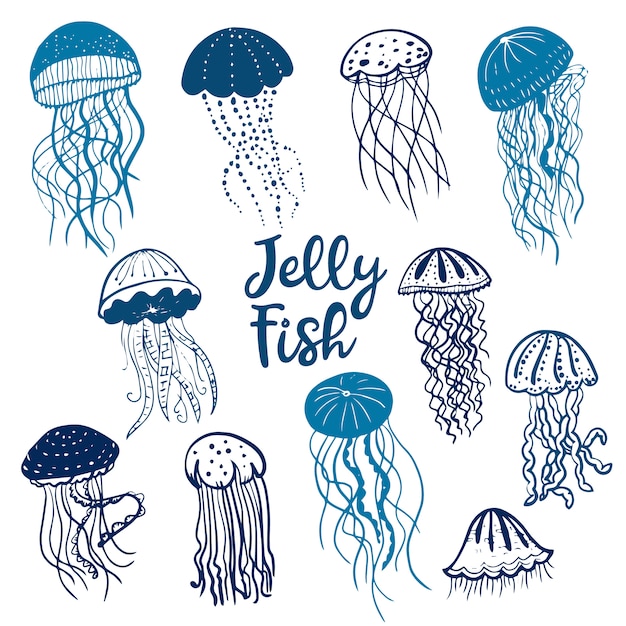 Download Illustration of different blue silhouettes jellyfish ...