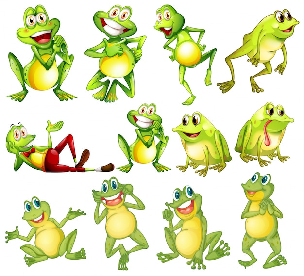 Premium Vector | Illustration of different positions of frogs