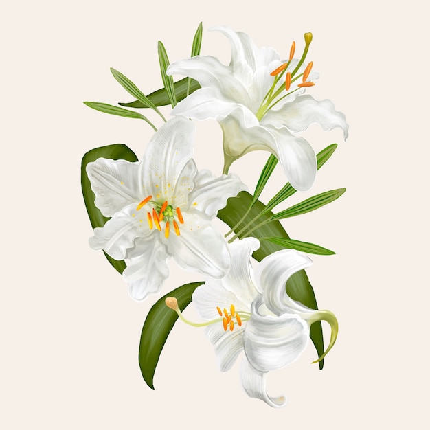 ユリの花のイラストの図 プレミアムベクター
