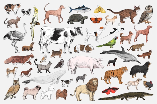 Download Free Illustration Drawing Style Of Animal Collection Free Vector Use our free logo maker to create a logo and build your brand. Put your logo on business cards, promotional products, or your website for brand visibility.