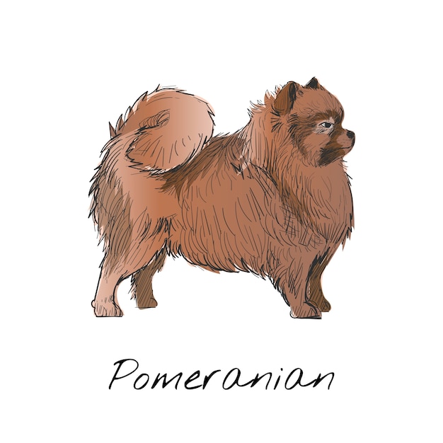 無料のベクター 犬のイラストの描画スタイル