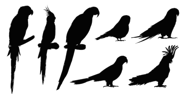 オウムの鳥のコレクションのイラストの描画スタイル 無料のベクター