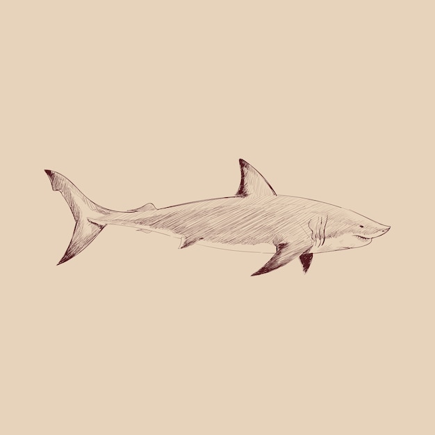 サメのイラストを描くスタイル プレミアムベクター