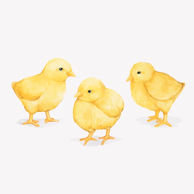 Illustration of easter festival Free Vector