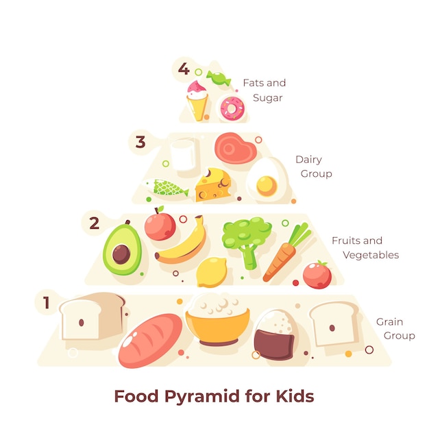 Free Vector | Illustration of the food pyramid