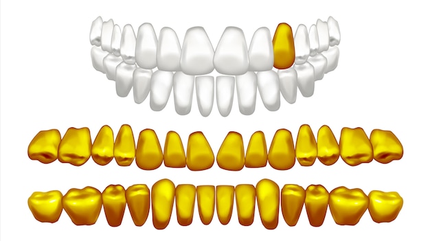 Illustration of golden teeth set Vector | Premium Download