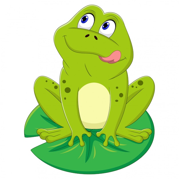 Illustration of green frog sitting on a leaf | Premium Vector