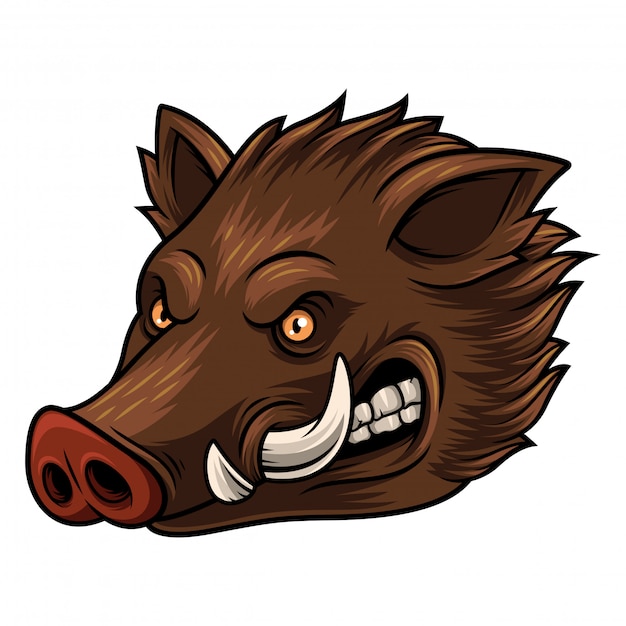 Premium Vector Illustration Of Head Wild Boar Mascot