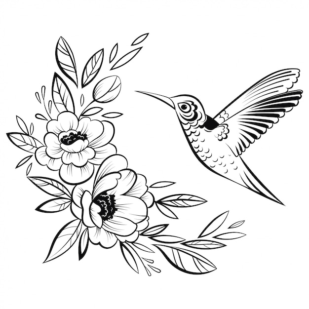 Featured image of post Hummingbird Easy Drawings Of Flowers And Birds : Easy, step by step flower drawing tutorials.