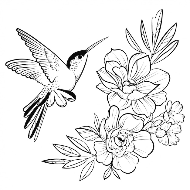 Illustration of a hummingbird. stylized flying bird. linear art ...