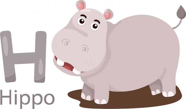 Illustration of isolated animal alphabet h for hippo | Premium Vector