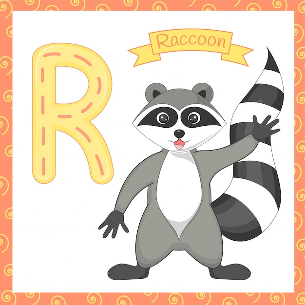 Premium Vector | Illustration of isolated animal alphabet r raccoon