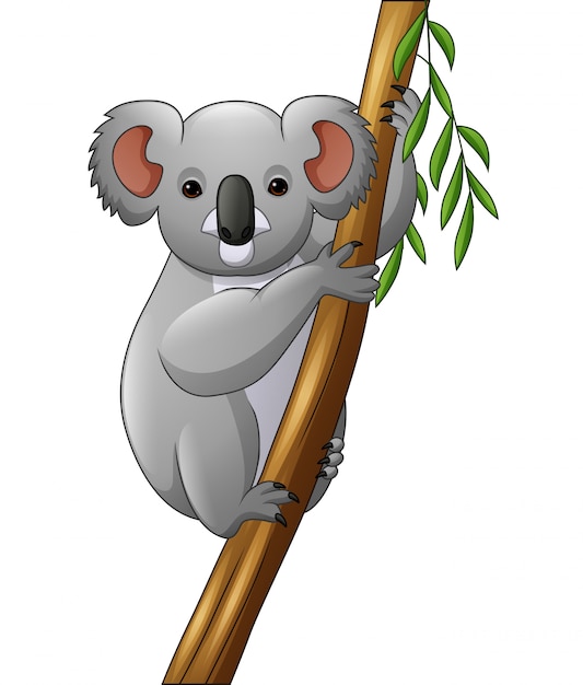 Premium Vector | Illustration of koala on a tree branch