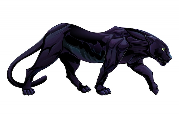  Black  Panther  Vectors  Photos and PSD files Free Download