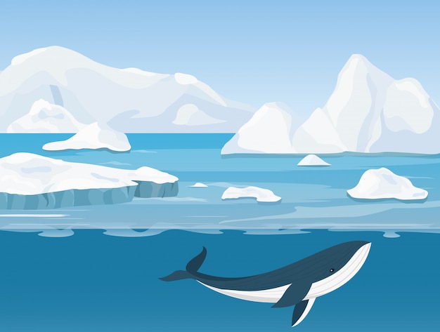 北極と南極の生活の美しい北極の風景のイラスト クジラと海と水中の世界の氷山 プレミアムベクター