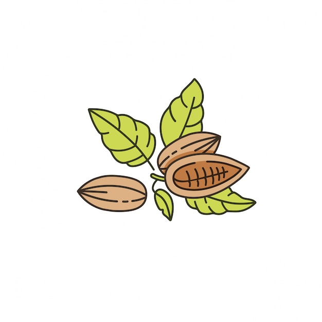 プレミアムベクター カカオ豆のイラスト 直線的なスタイルのアイコン チョコレートのカカオ豆