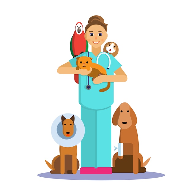 かわいいペット 犬 猫 モルモット そしてオウムの女性の獣医師のイラスト プレミアムベクター