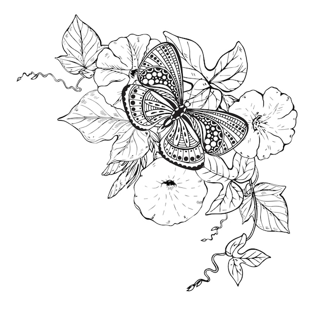 ヒルガオ花の枝に手描きのグラフィック蝶のイラスト 黒と白のイラスト プレミアムベクター