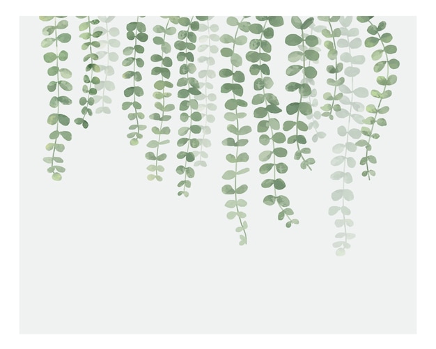 白い背景に隔離された植物のイラスト 無料のベクター