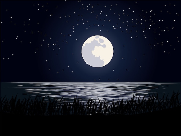 プレミアムベクター 夜の海に月光のイラスト
