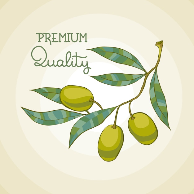 オリーブブランチのイラスト オリーブの木 プレミアム品質の油 無料のベクター