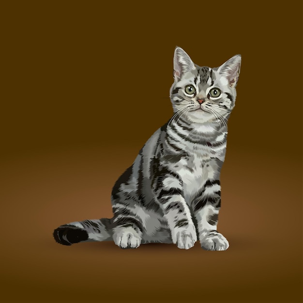 遊び心のあるアメリカンショートヘアの子猫のイラスト プレミアムベクター