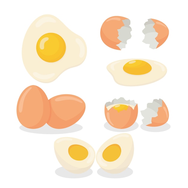 生卵 ゆで卵 ゆで卵 目玉焼きのイラスト プレミアムベクター