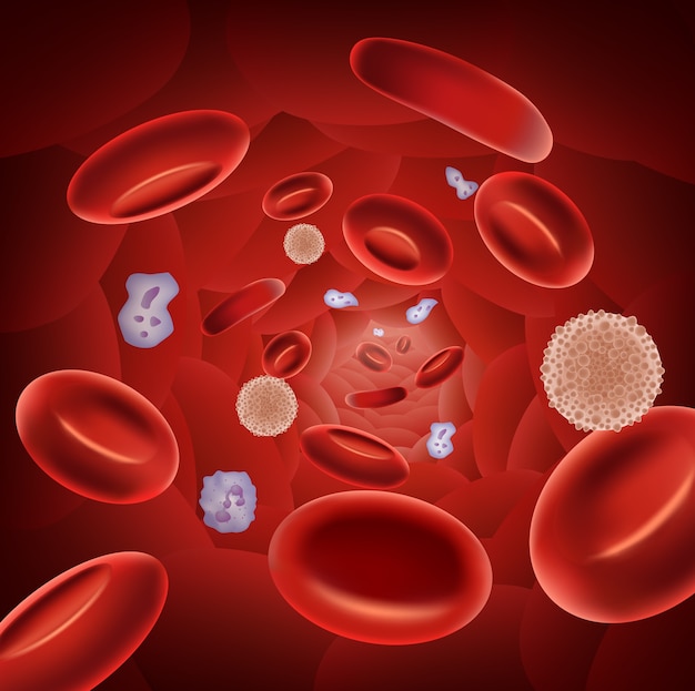 赤血球のイラスト プレミアムベクター