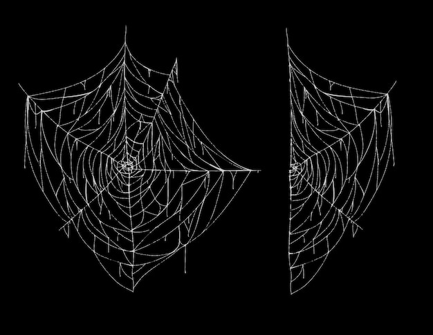 スパイダーウェブ 全体と部分 黒い背景に隔離された白いおかしなクモの巣のイラスト 無料のベクター