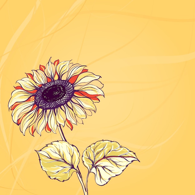 Illustration of sunflower