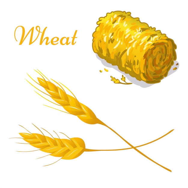 プレミアムベクター 白の小麦イラストのイラスト