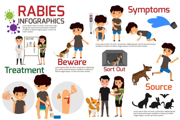 Premium Vector | Illustration of rabies describing symptoms and